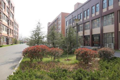 龙湖签约学校